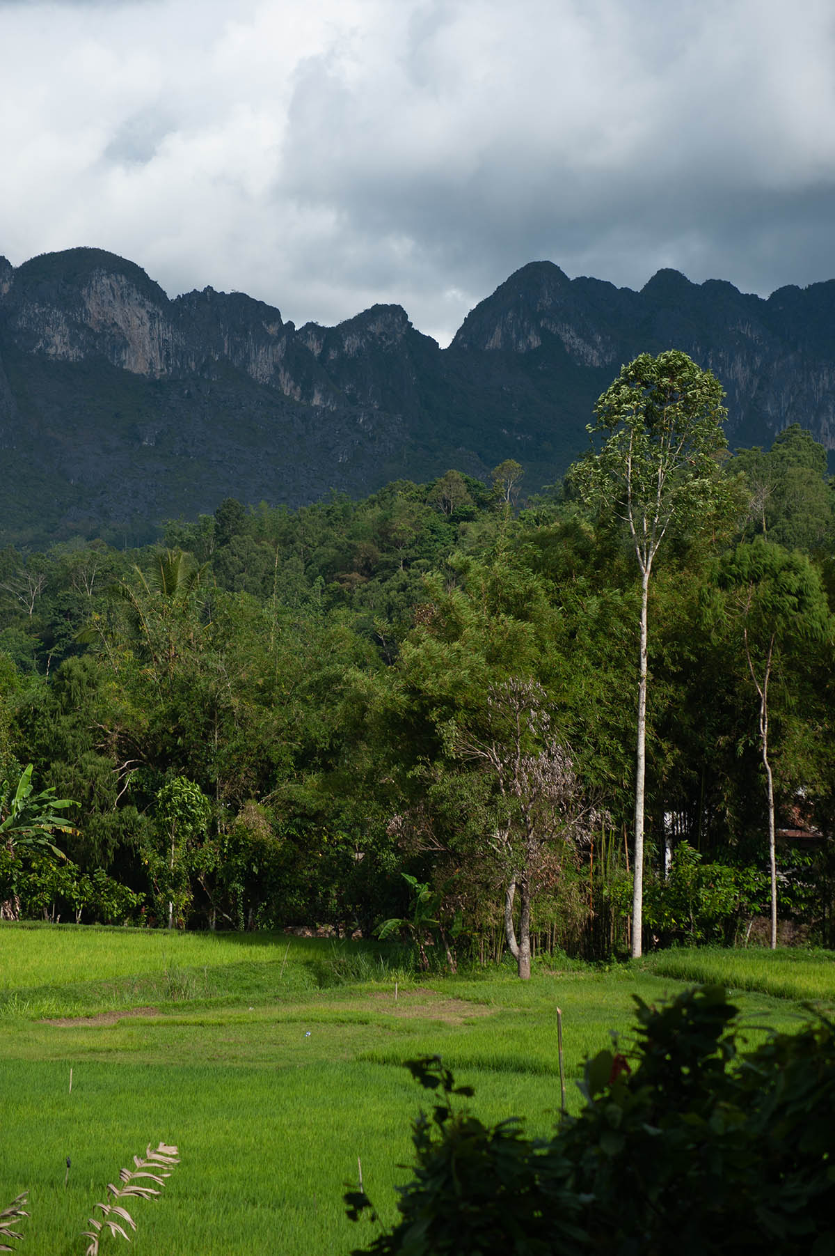 Dramatic landscape of Tana Toraja, Southern Sulawesi