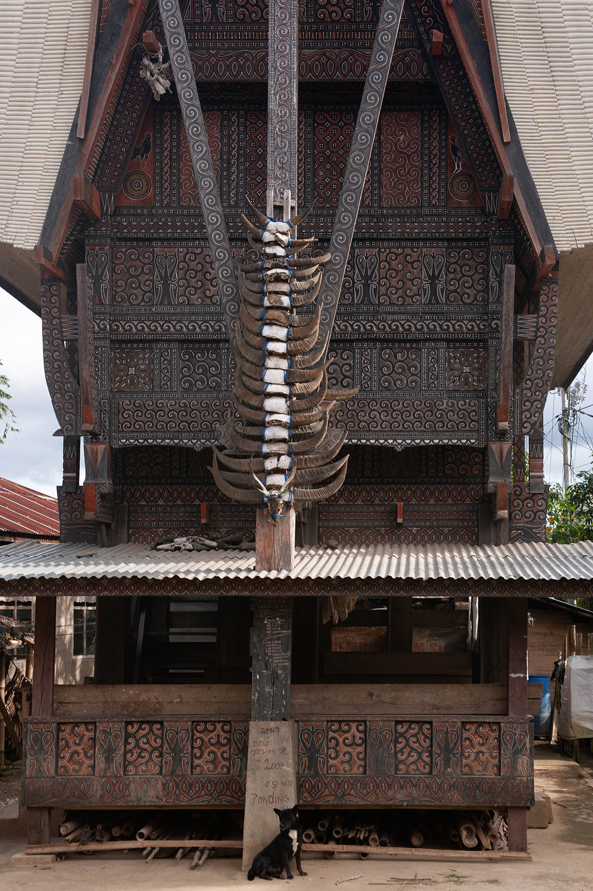 A tongkonan (rumah adat; ancestral home), adorned with bullhorns, Sulawesi