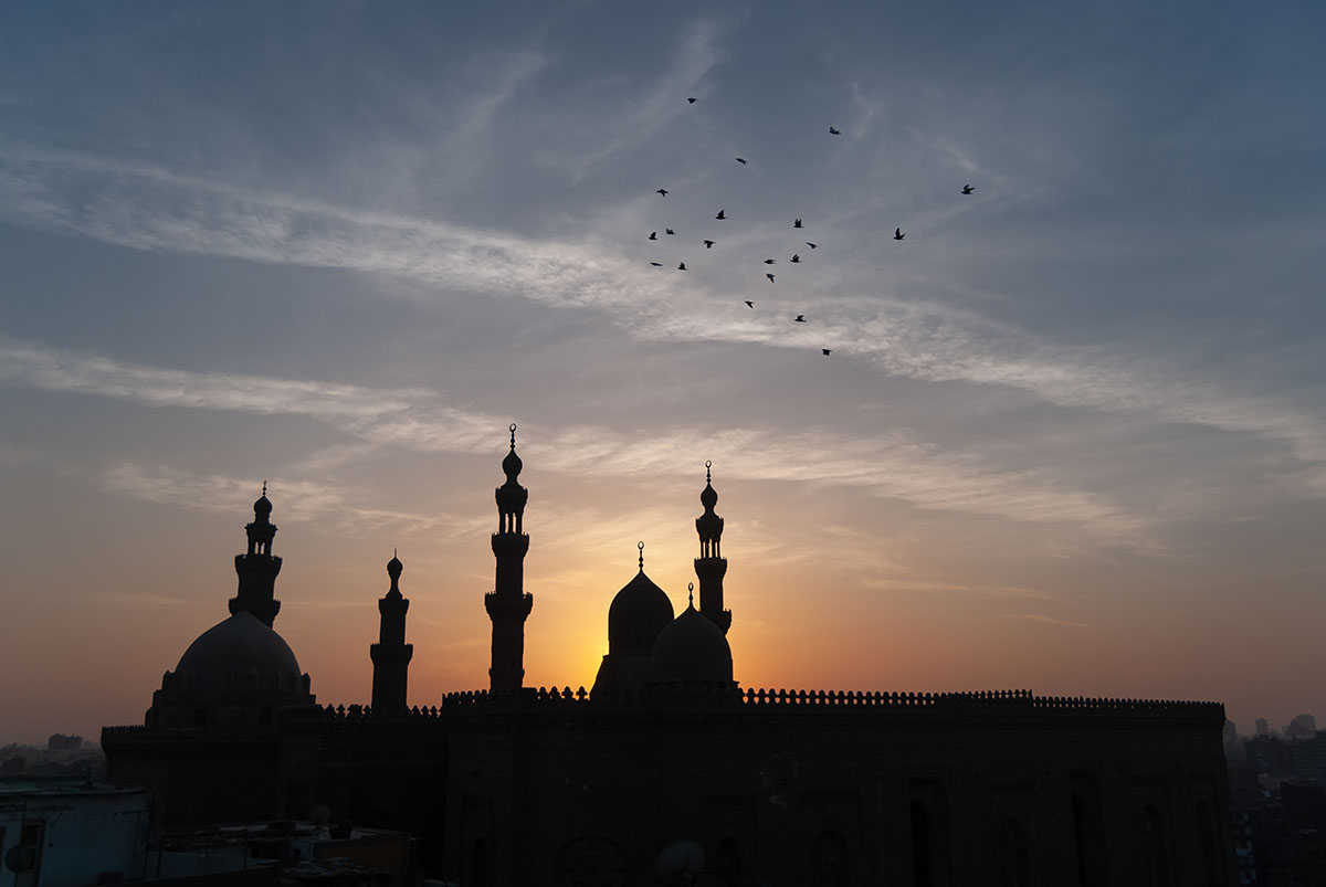 Pigeons over Rifa'i and Sultan Hassan Mosques, Cairo