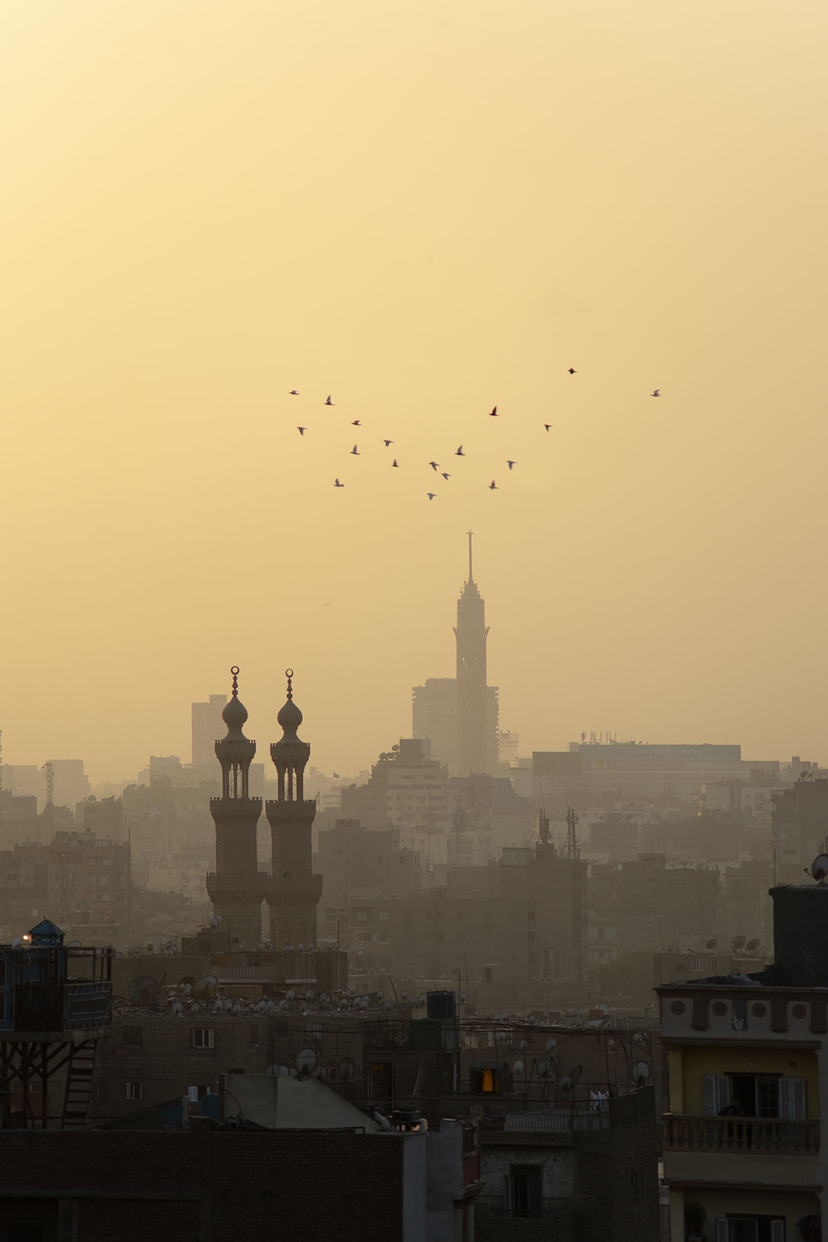 Downtown Cairo Pigeons and Minarets