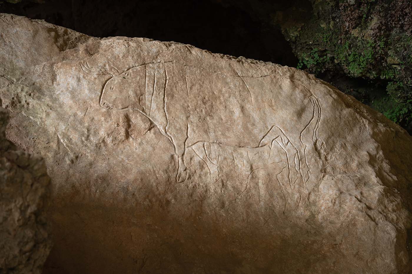 Romito Cave, Pollino